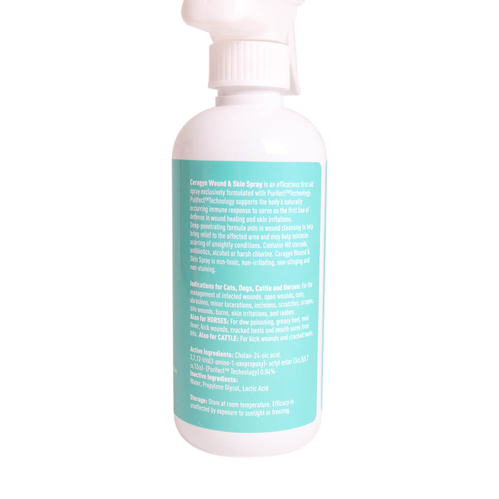 ceragyn wound and skin formula  12 oz