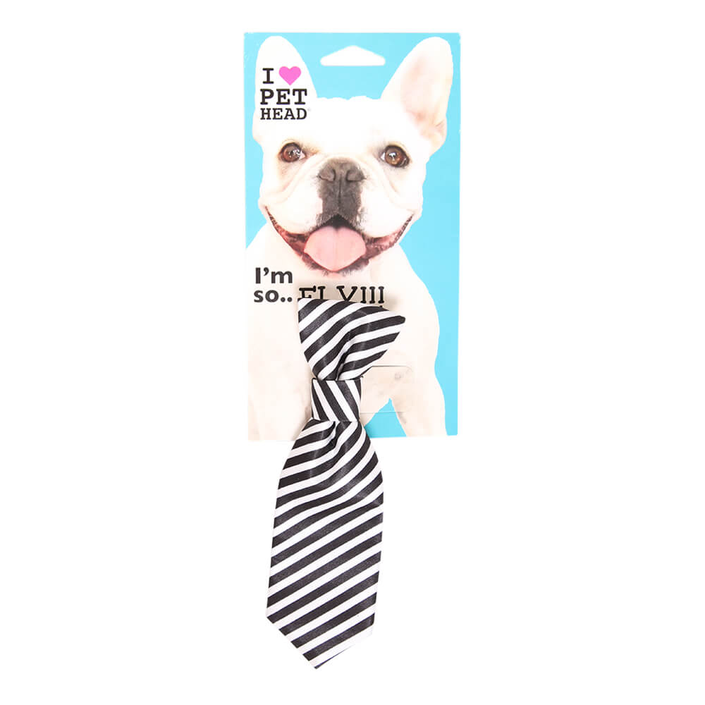 pet head i'm so fly black & white stripe tie