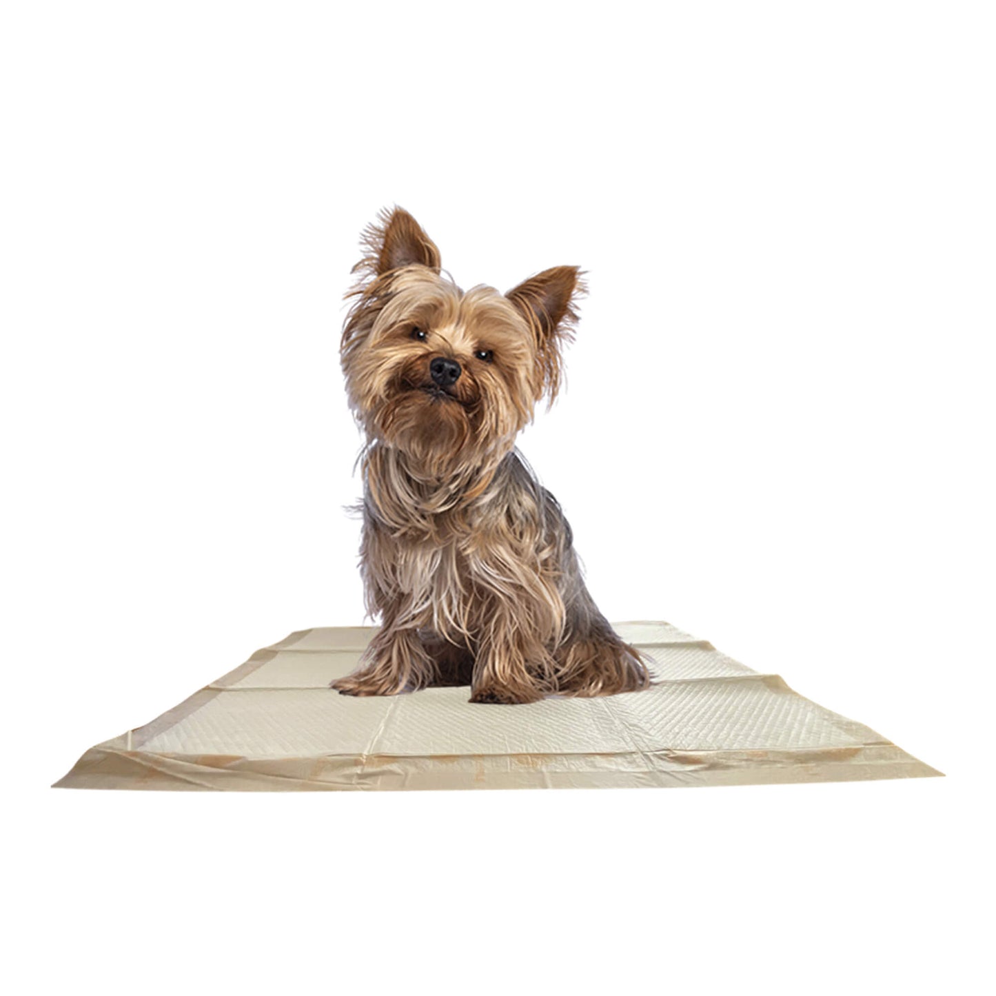 wizsmart essentials large dog pads, 23.5" x 22", extra absorbent puppy training pads, indoor potty pads, leakproof gel pads for small dogs, crate, house, travel, eco-friendly, non-slip - 10 count