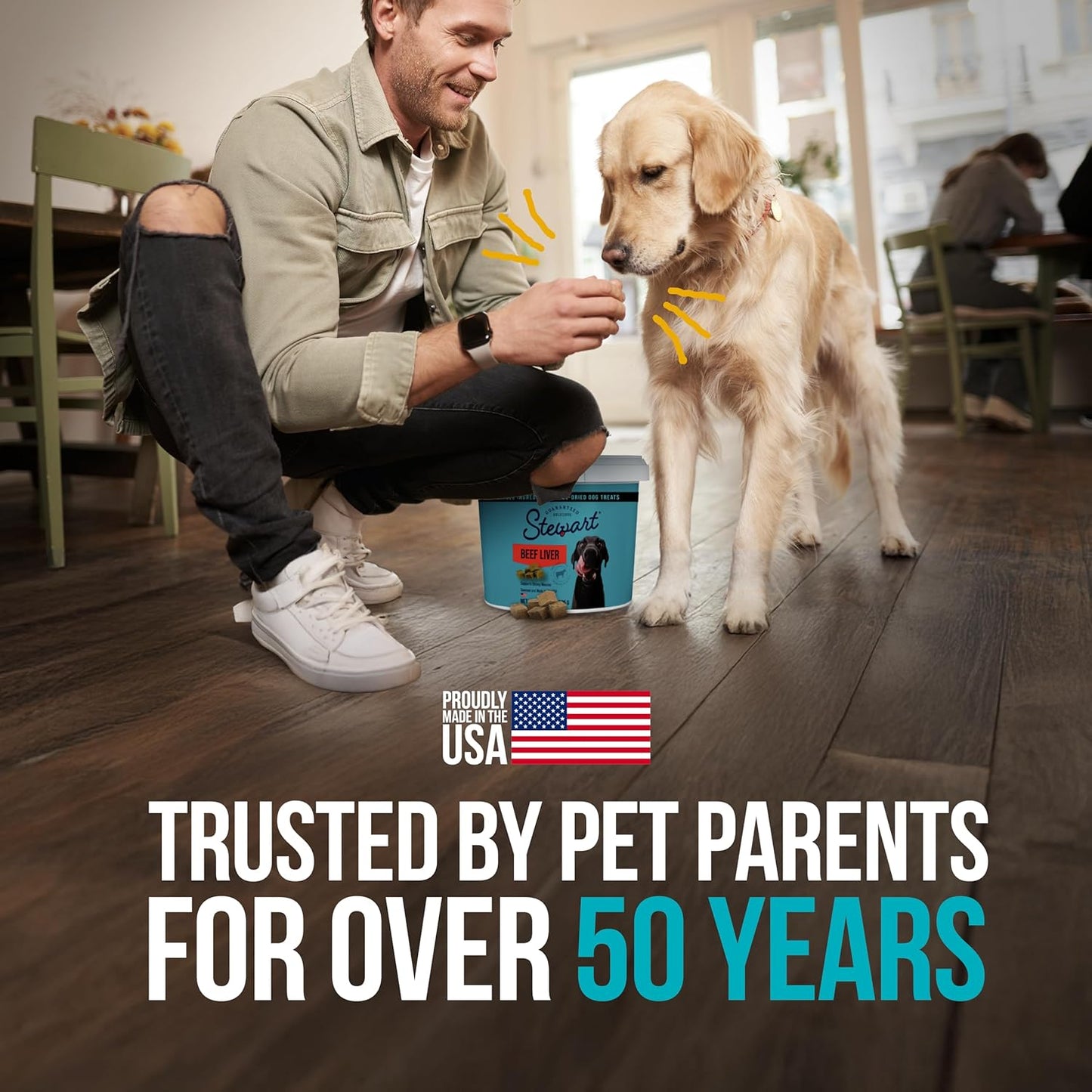 stewart pro-treat freeze dried beef liver treats for dogs  4 oz