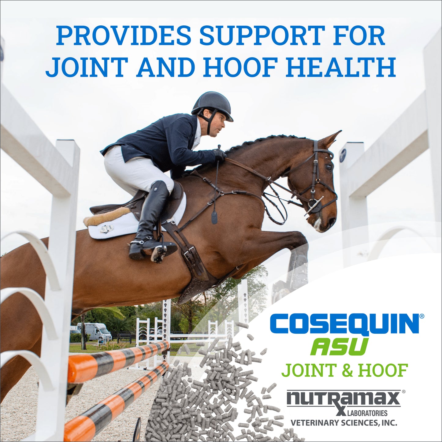 cosequin asu joint & hoof support 1200gm