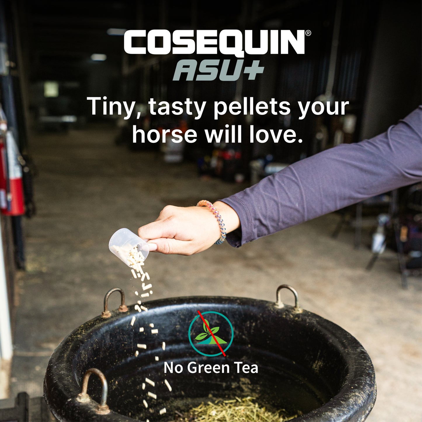 cosequin equine asu plus pellets, 1050 grams