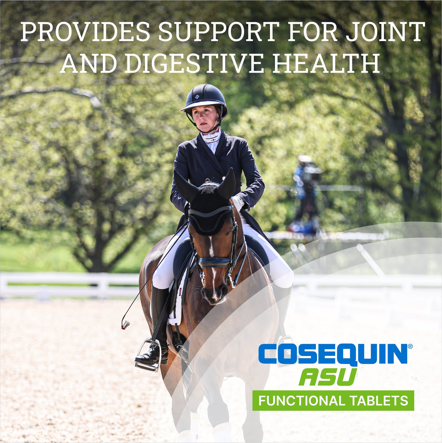 nutramax cosequin asu joint & digestive health functional tablets for horses, 240 tablets