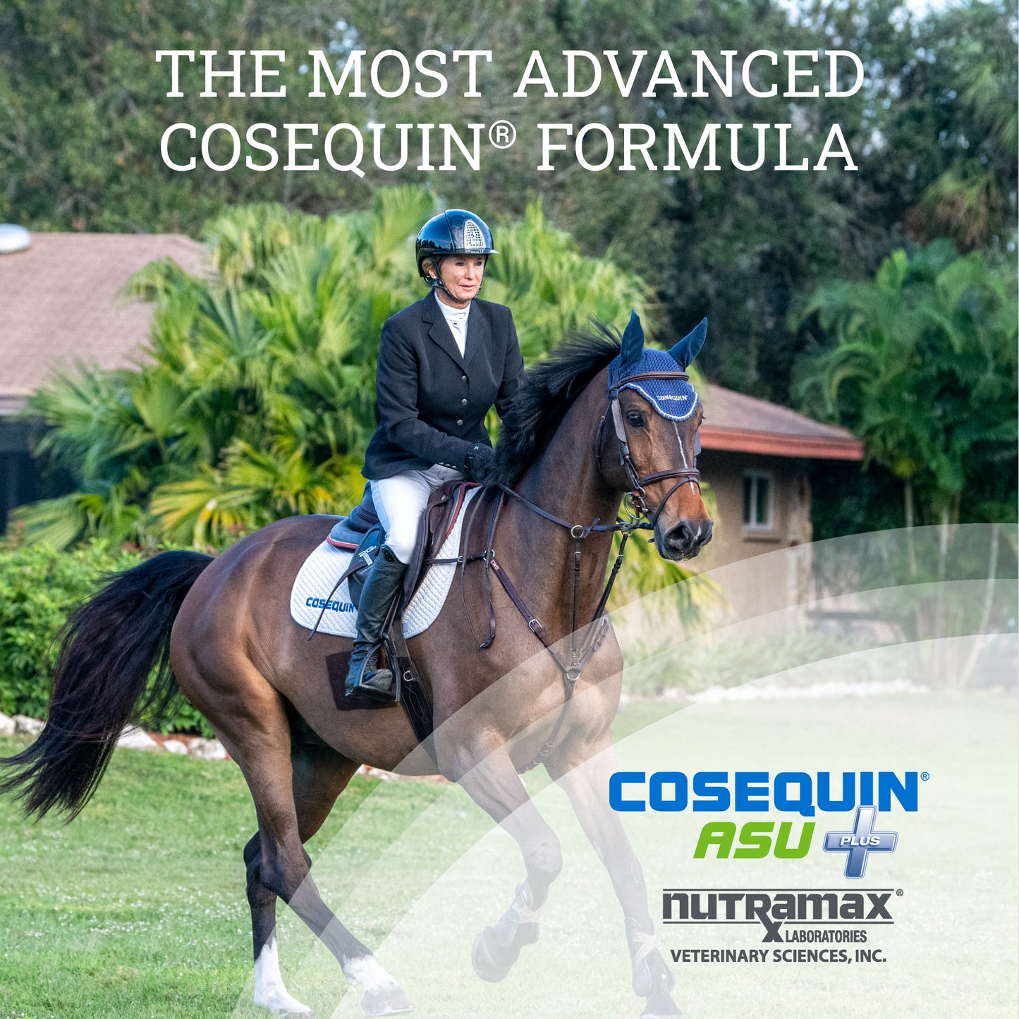 cosequin equine asu plus  1050 gram