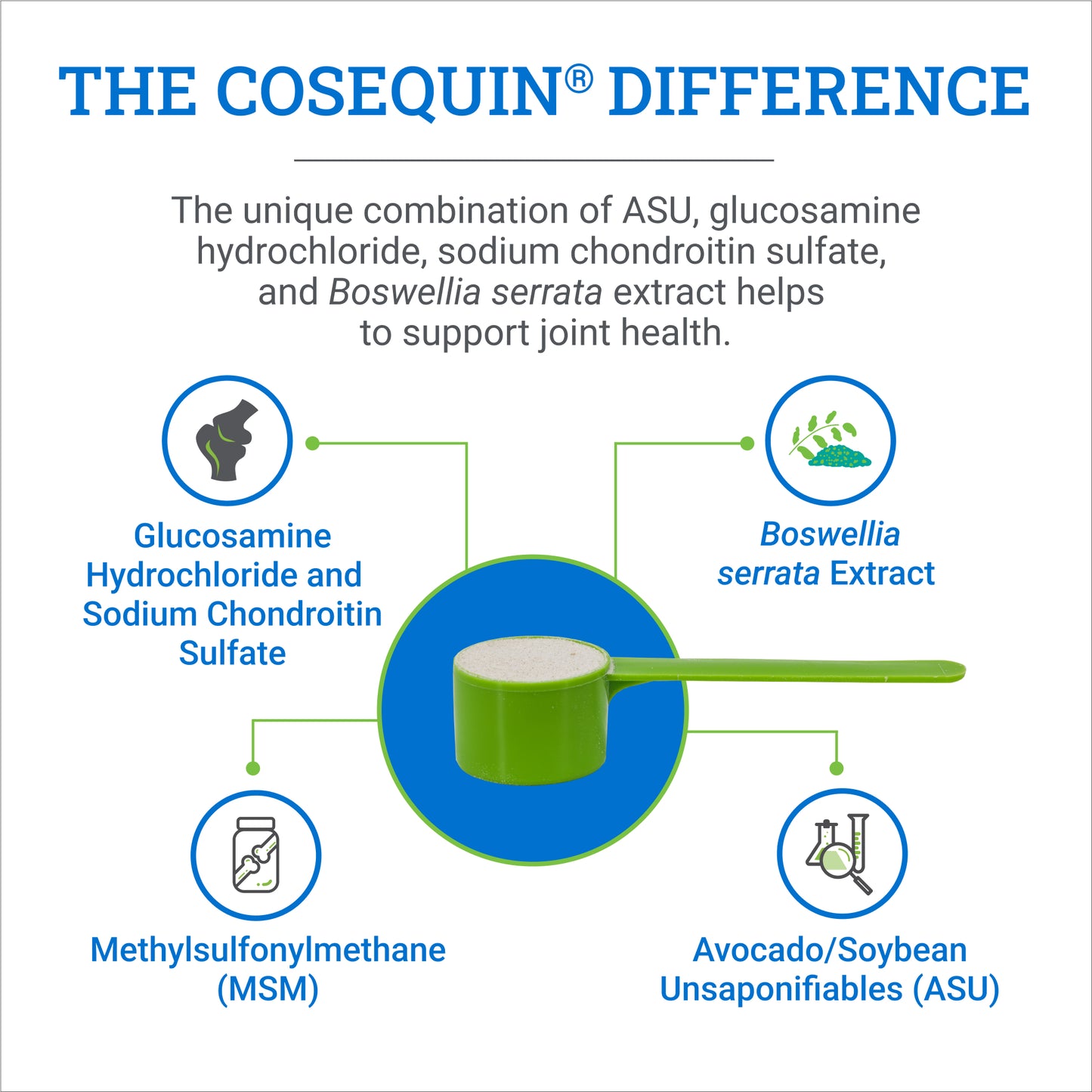cosequin asu equine powder  500g