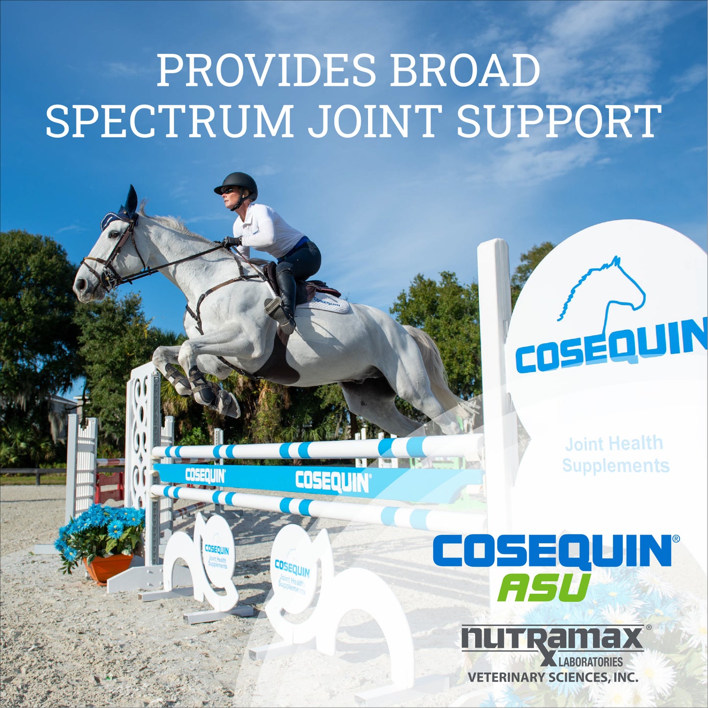 cosequin asu equine powder  500g