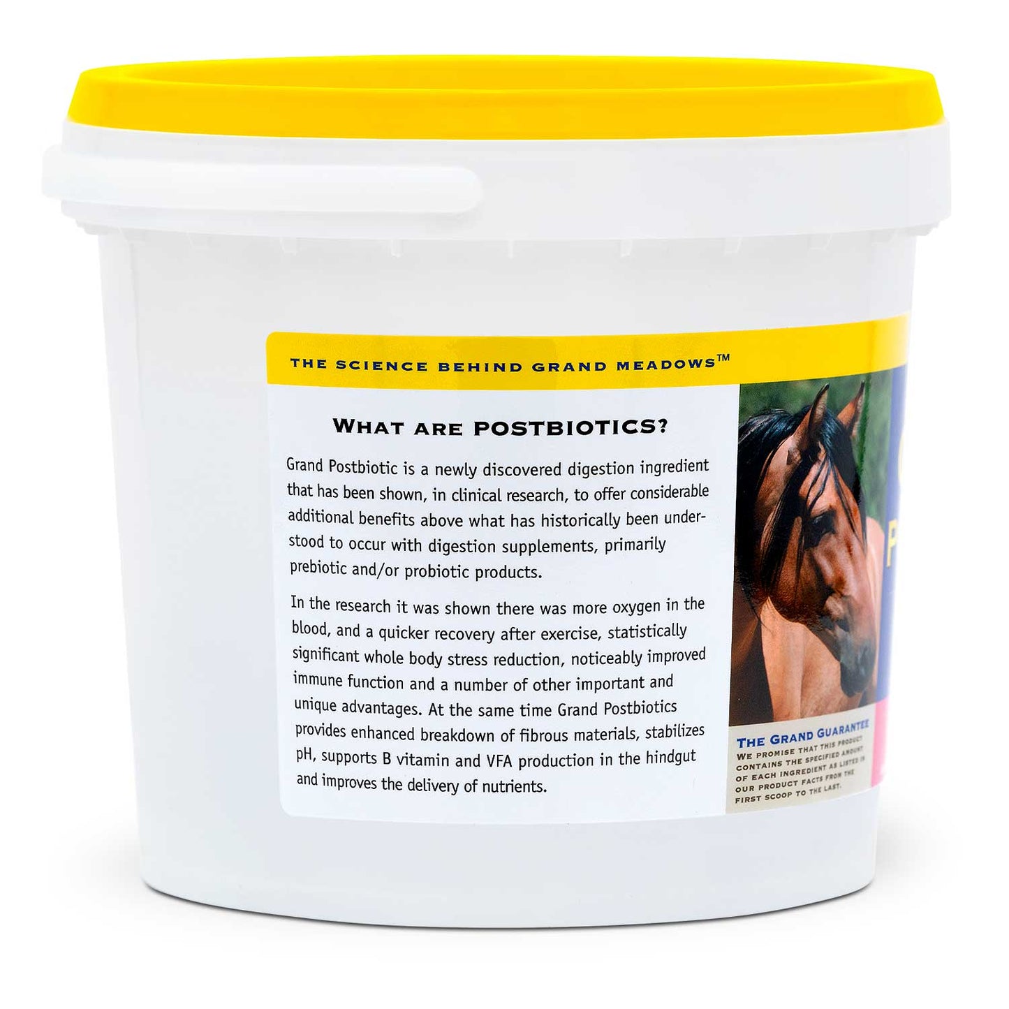 grand postbiotic digestion supplement for horses, 5 lb – equine gut health powder with postbiotics, probiotics, prebiotics – daily horse nutrition for digestive balance, immune support, performance