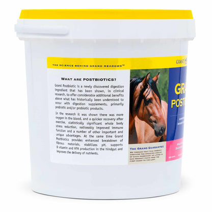 Grand Postbiotic Digestion Supplement for Horses, 10 lb – Equine Gut Health Powder with Postbiotics, Probiotics, Prebiotics – Daily Horse Nutrition for Digestive Balance, Immune Support, Performance
