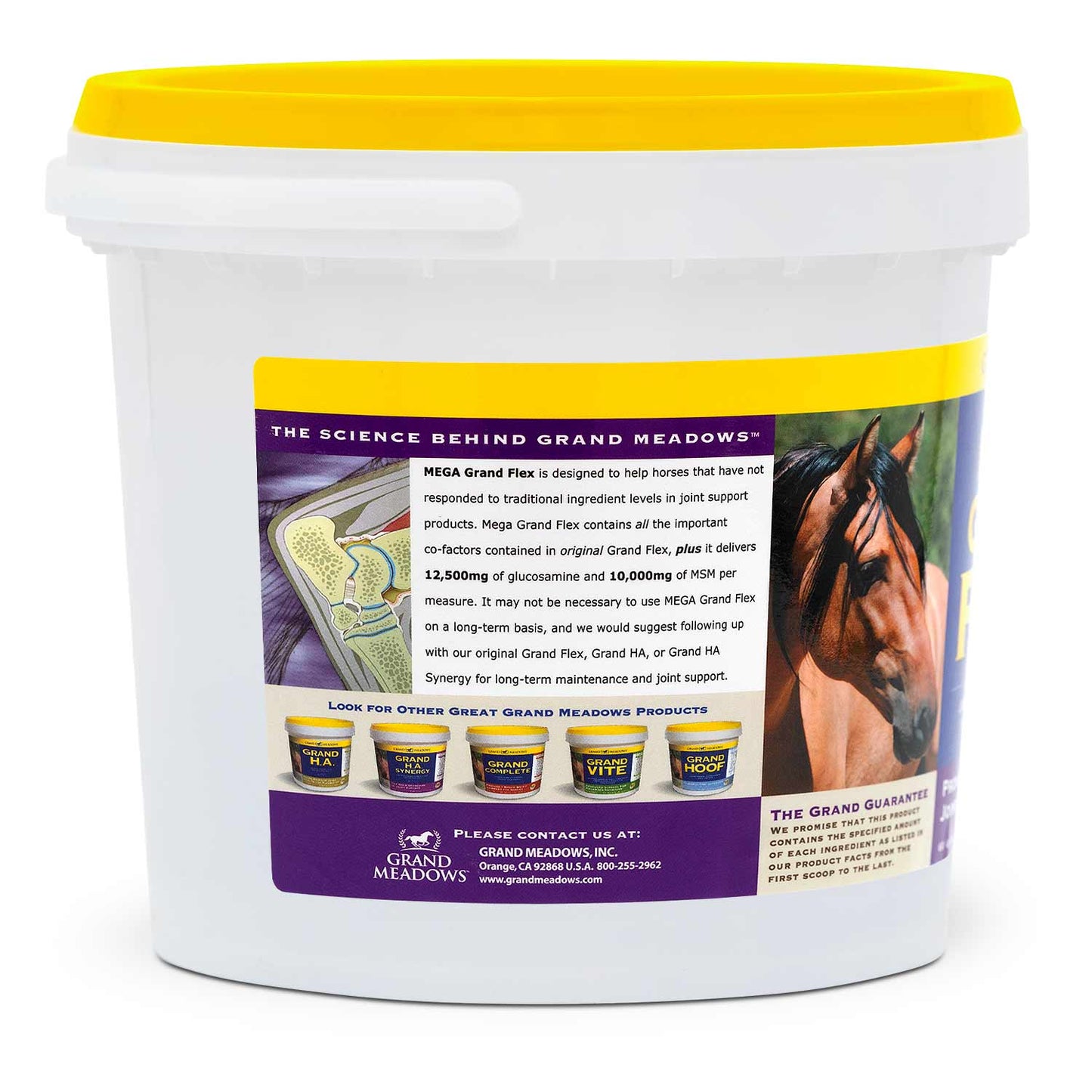 mega grand flex joint supplement for horses, 3.75 lb