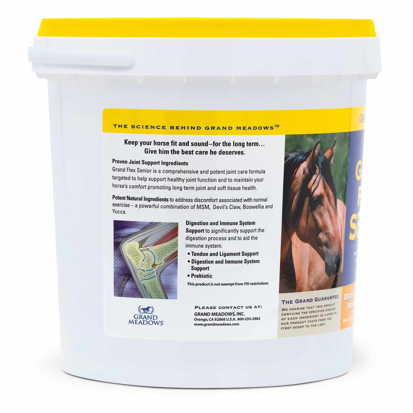 grand flex senior joint supplement for horses, 10 lb