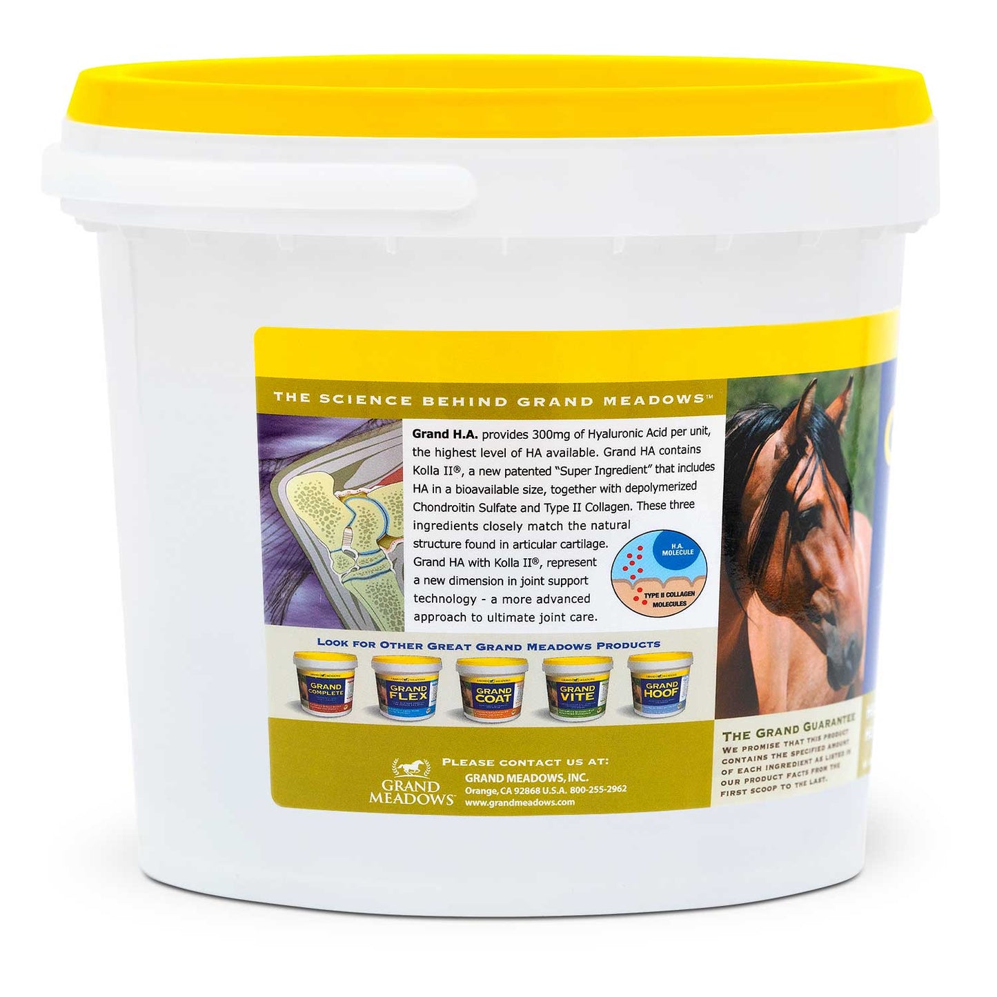 grand h.a. hyaluronic acid supplement for horses, 3.75 lb