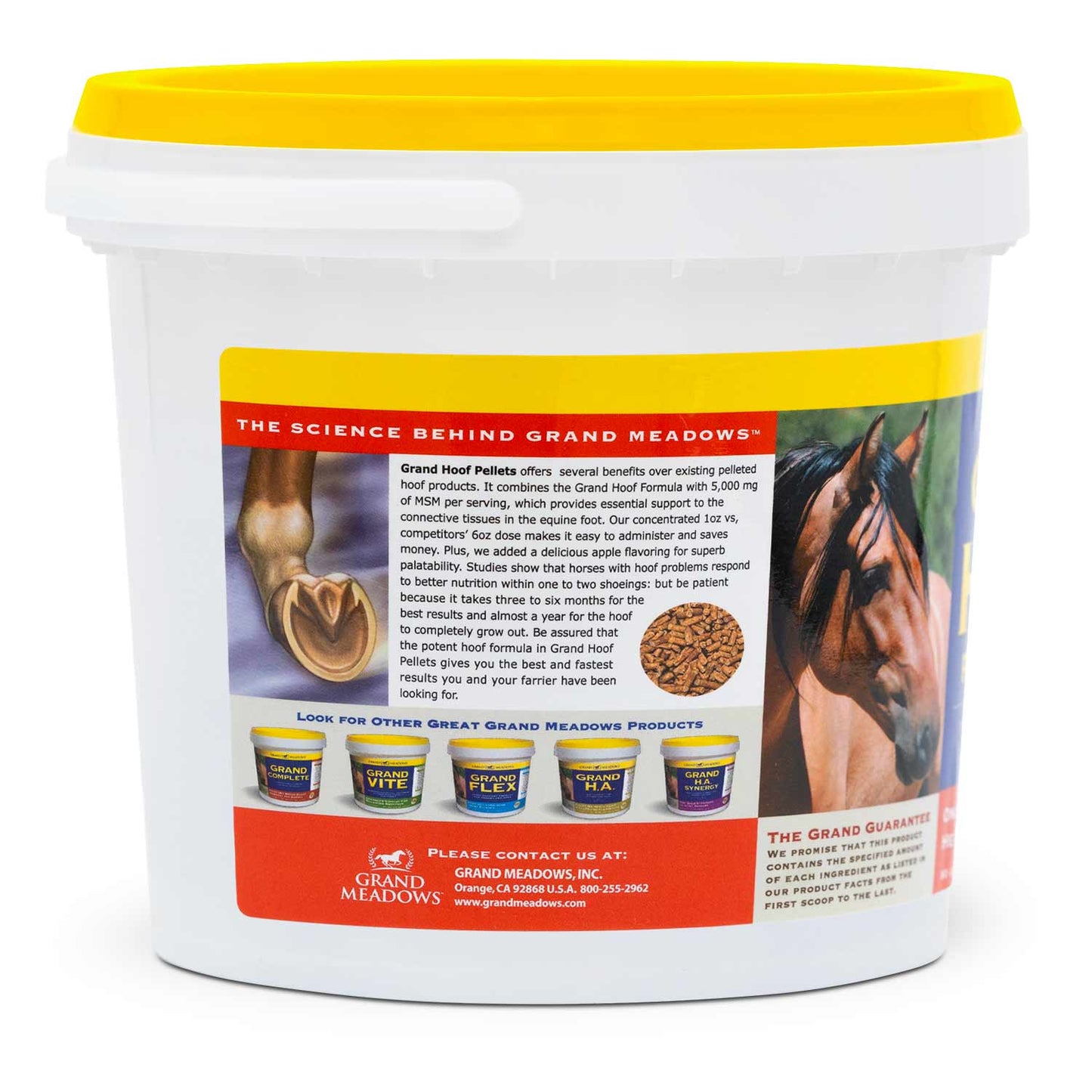 grand hoof pellets with msm supplement for horses, 5 lb