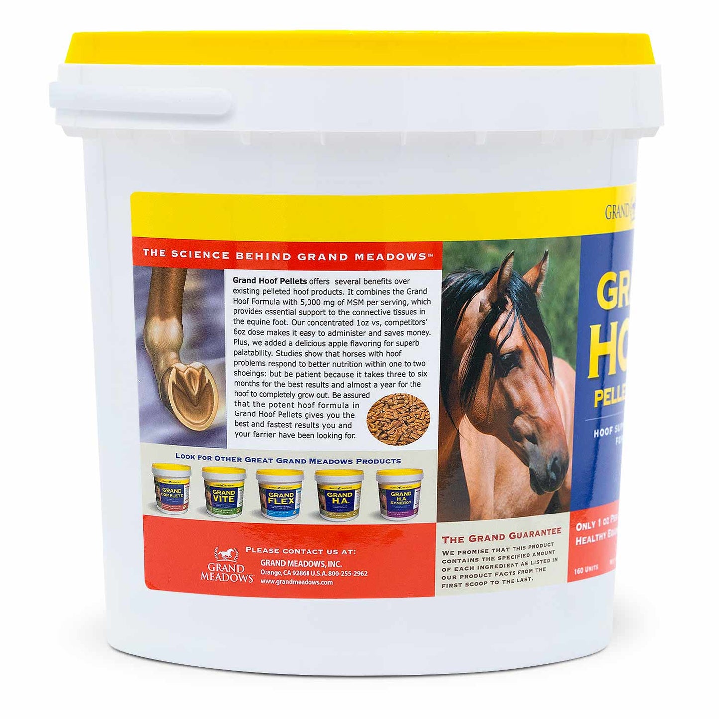 grand hoof pellets with msm supplement for horses, 10 lb