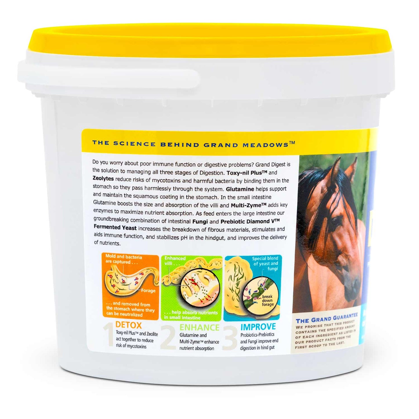 grand digest gut supplement for horses, 5 lb