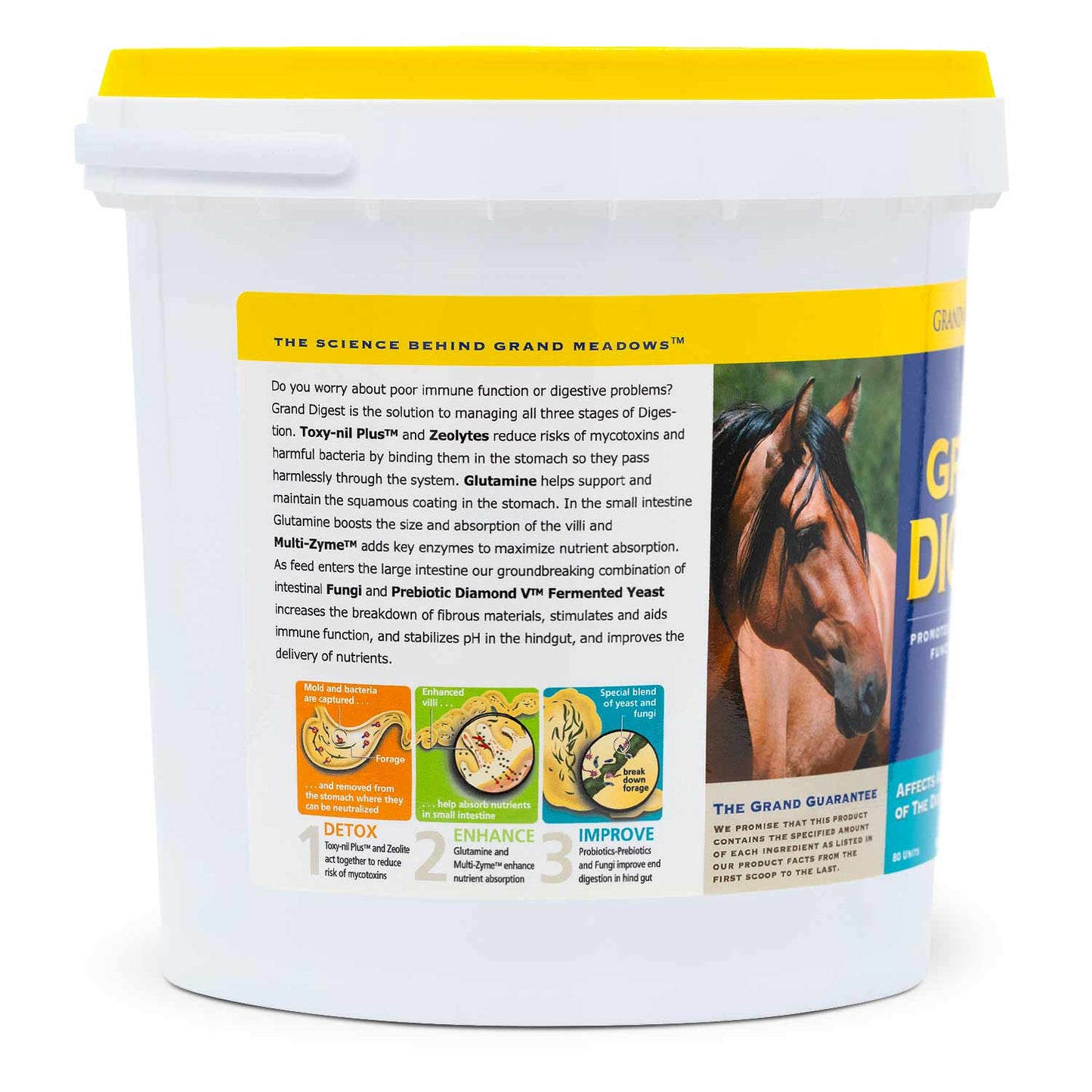 grand digest gut supplement for horses, 10 lb