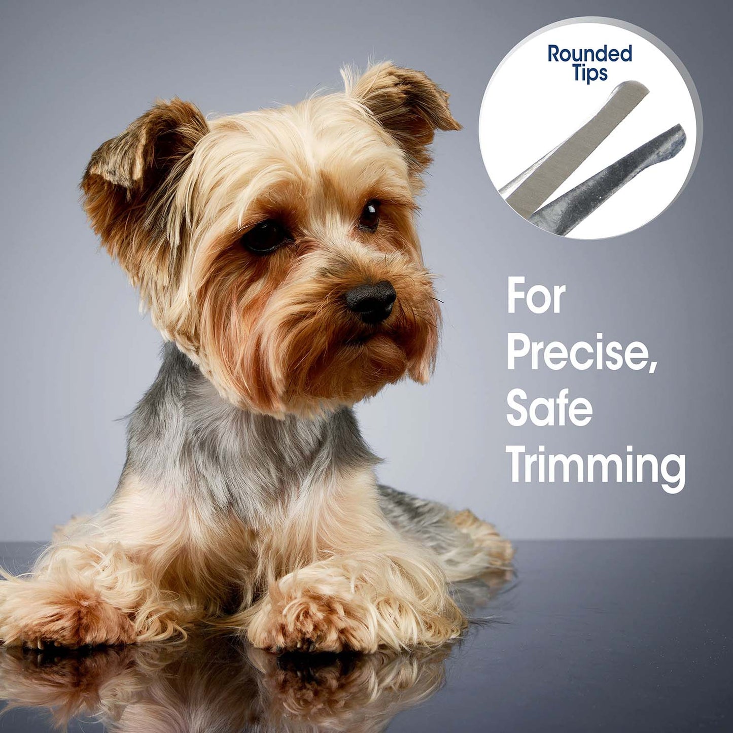magic coat professional series safety tip facial dog trimming scissors