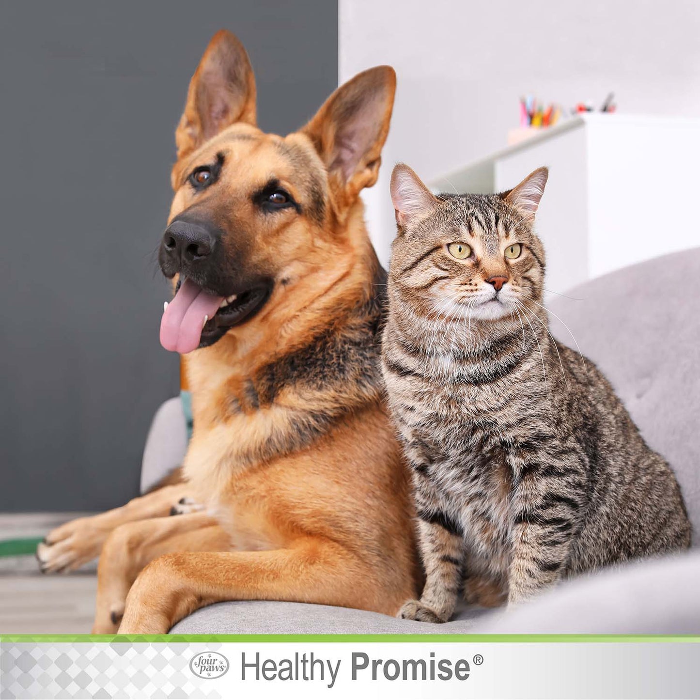 healthy promise pet blood stopper gel, 1.16 ounce