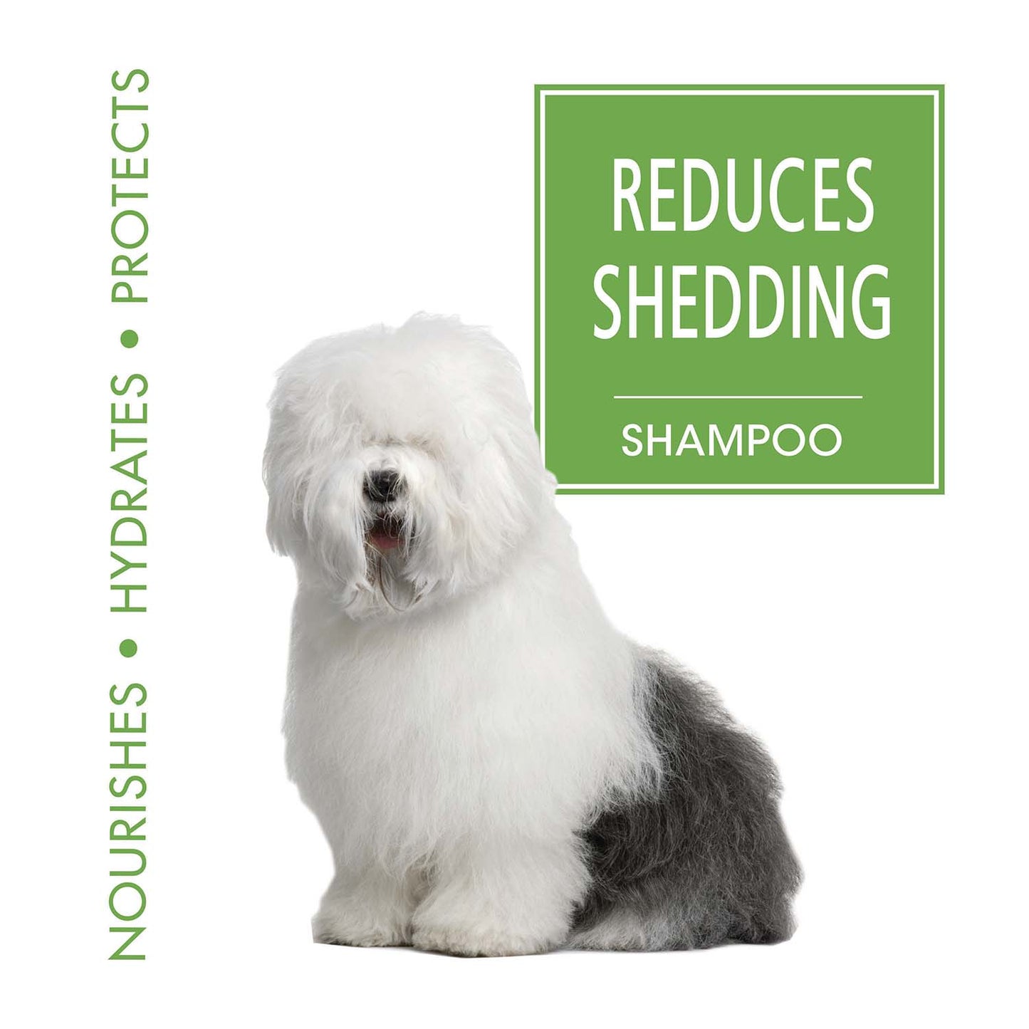 magic coat reduces shedding shampoo, 16 ounce