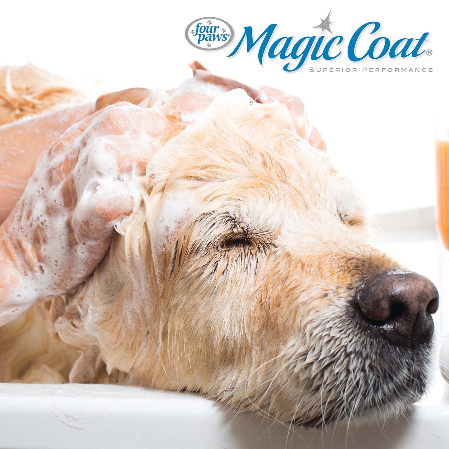 magic coat reduces shedding shampoo, 16 ounce
