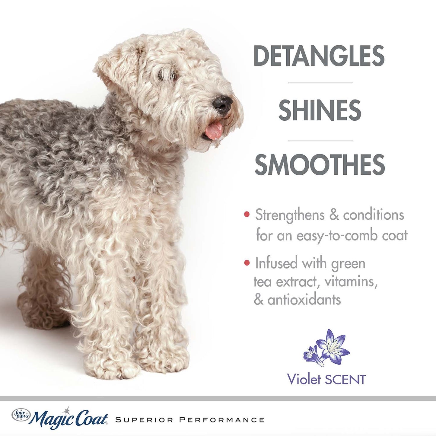magic coat detangling shampoo for dogs, 16 ounce