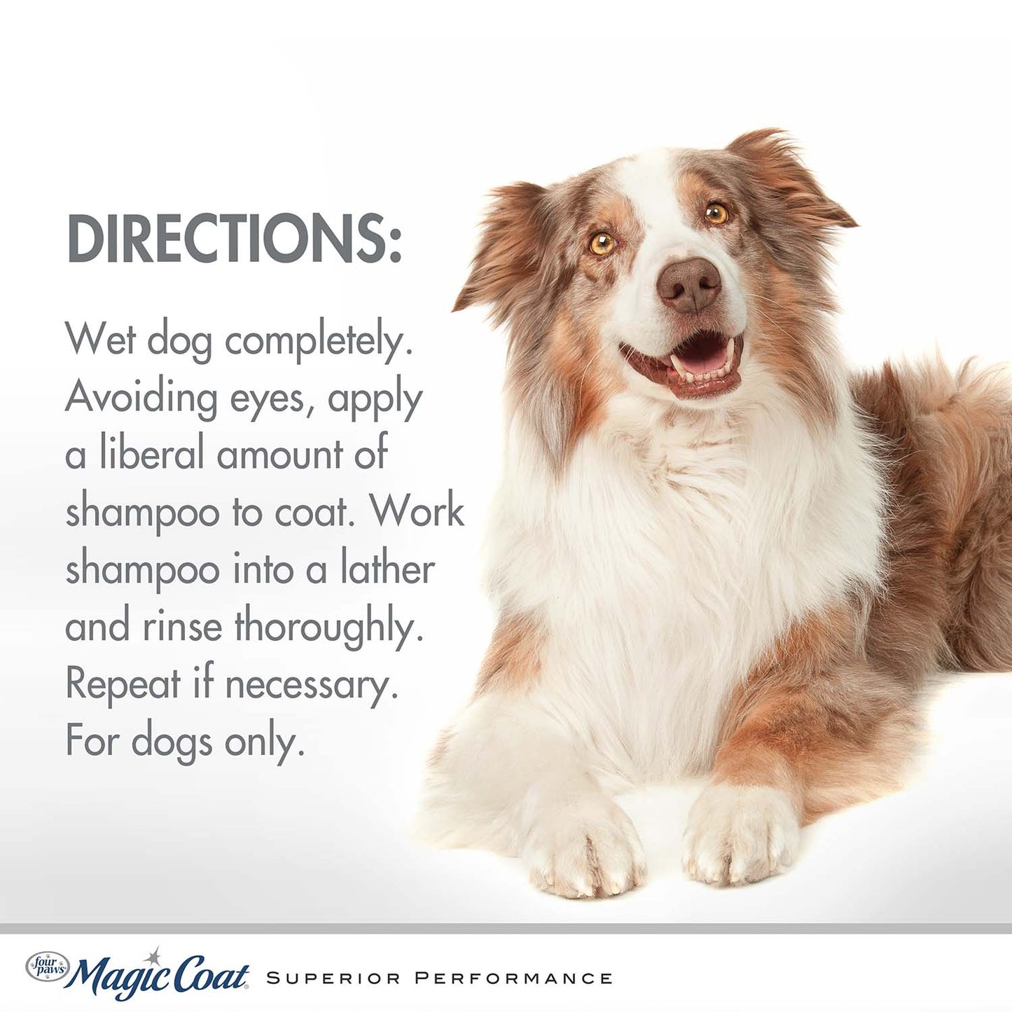 magic coat detangling shampoo for dogs, 16 ounce