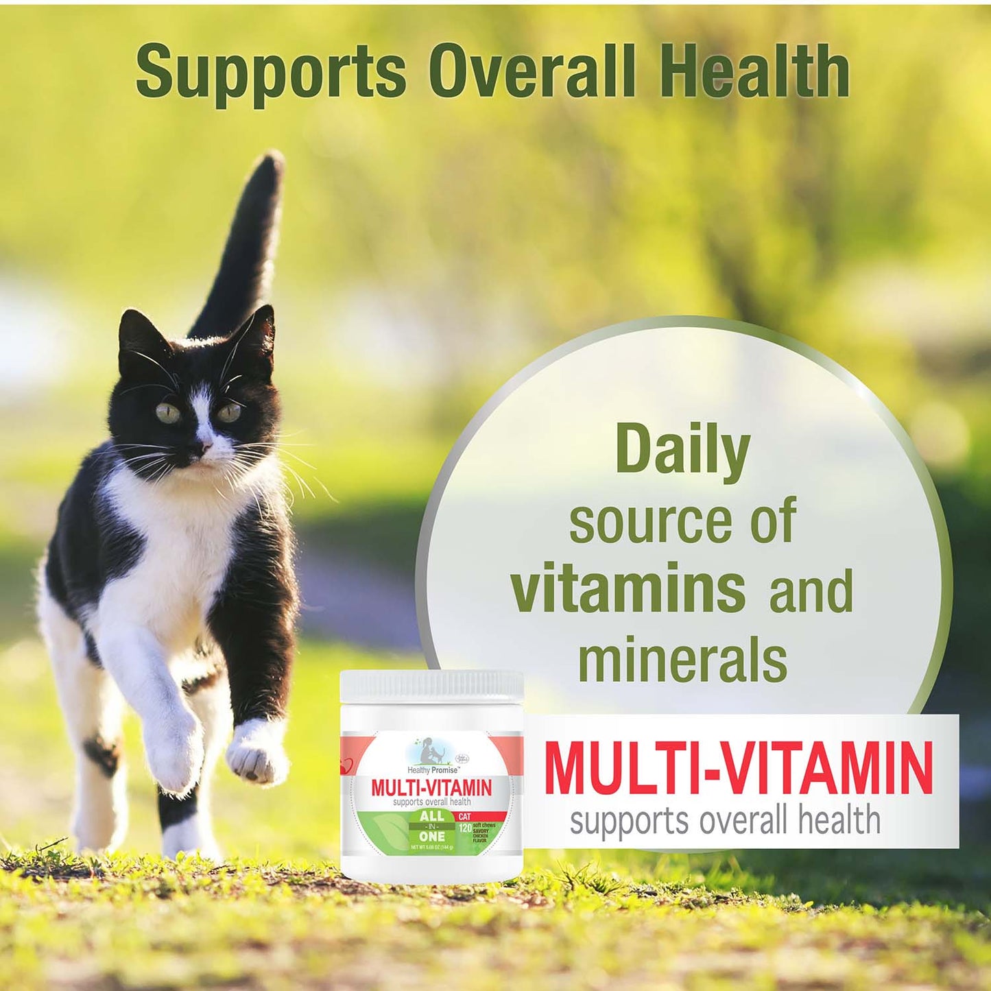 healthy promise multi-vitamins for cats, savory chicken (120 count)