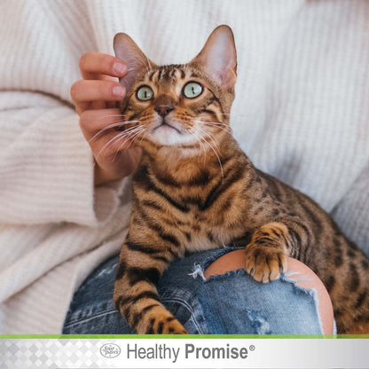 Healthy Promise Aloe Ear Mite Treatment For Cats, 0.75 Ounce
