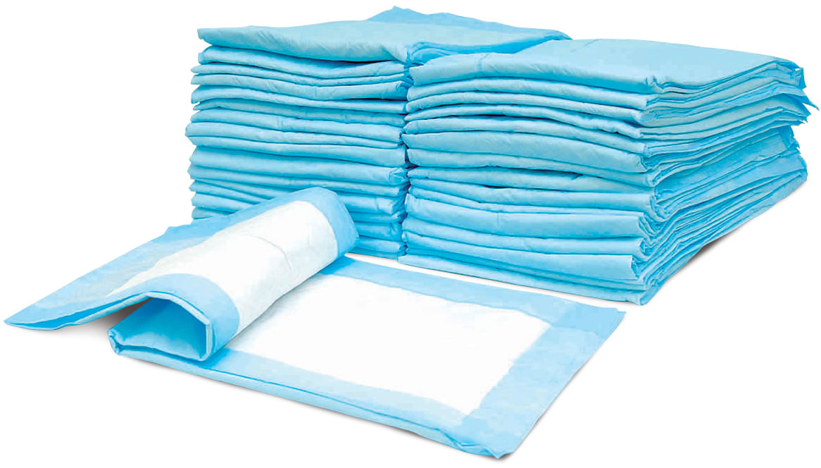 wee-wee pads 50pk