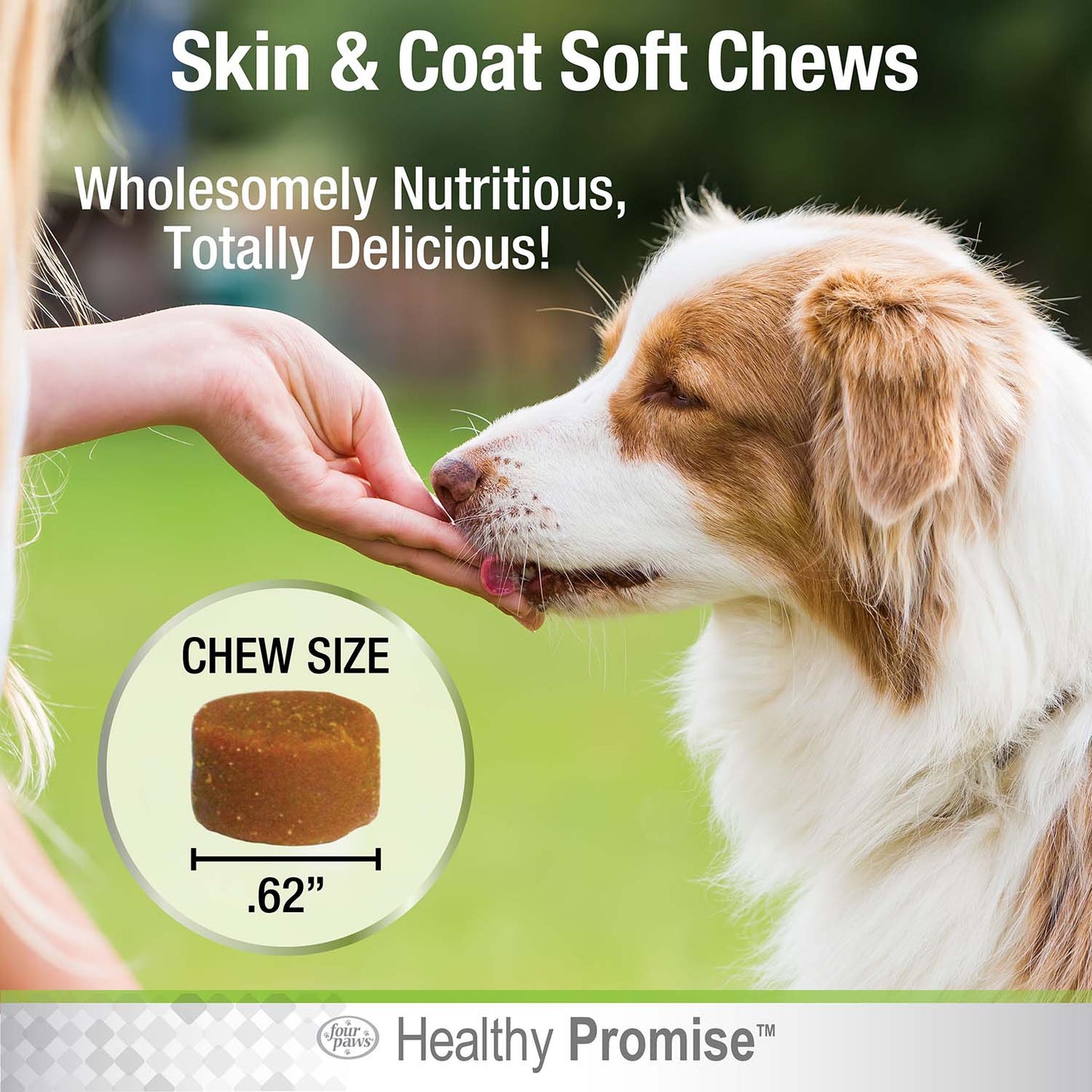 healthy promise skin and coat soft chews for dogs, savory liver (90 count)