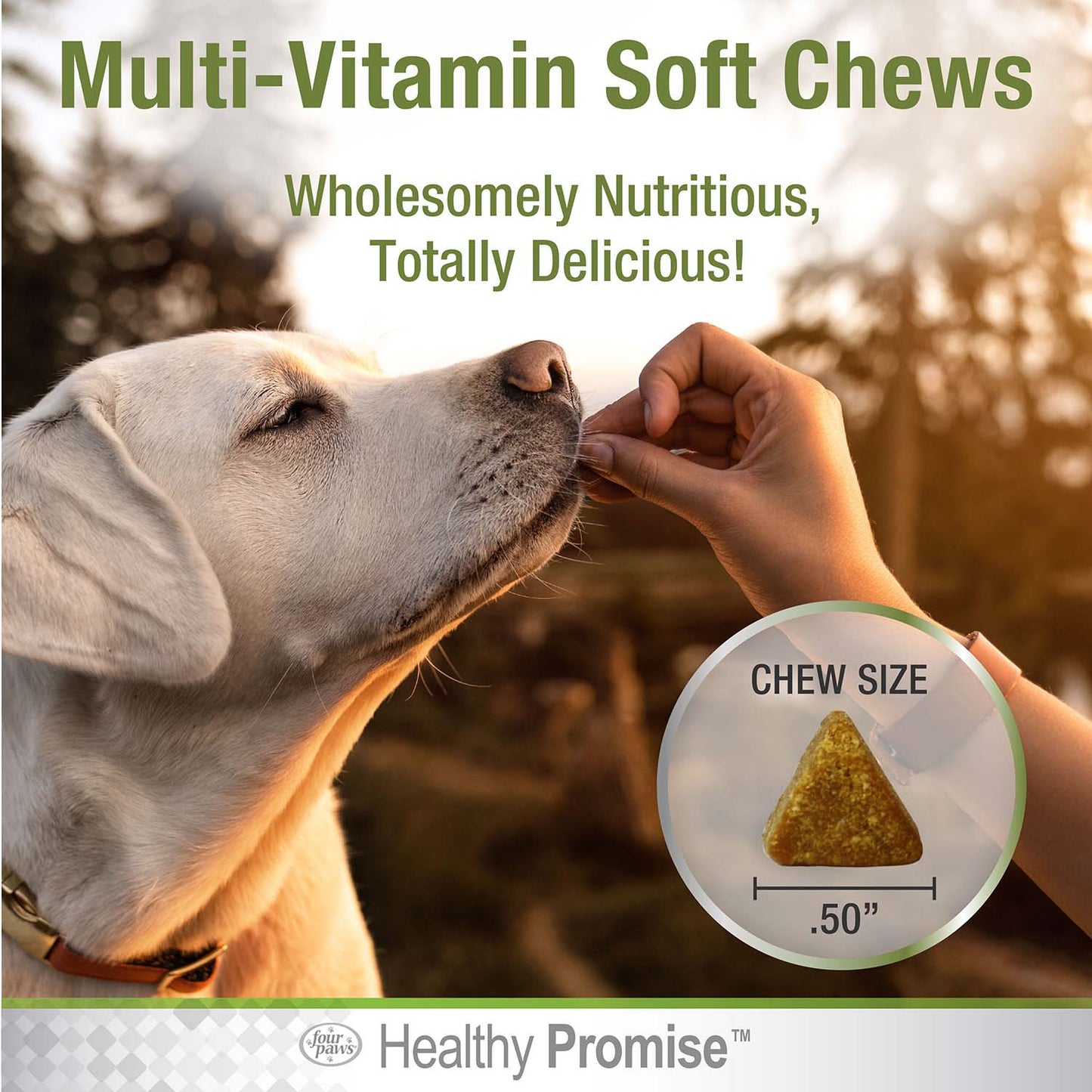 healthy promise dog multivitamin soft chews, savory chicken (120 count)