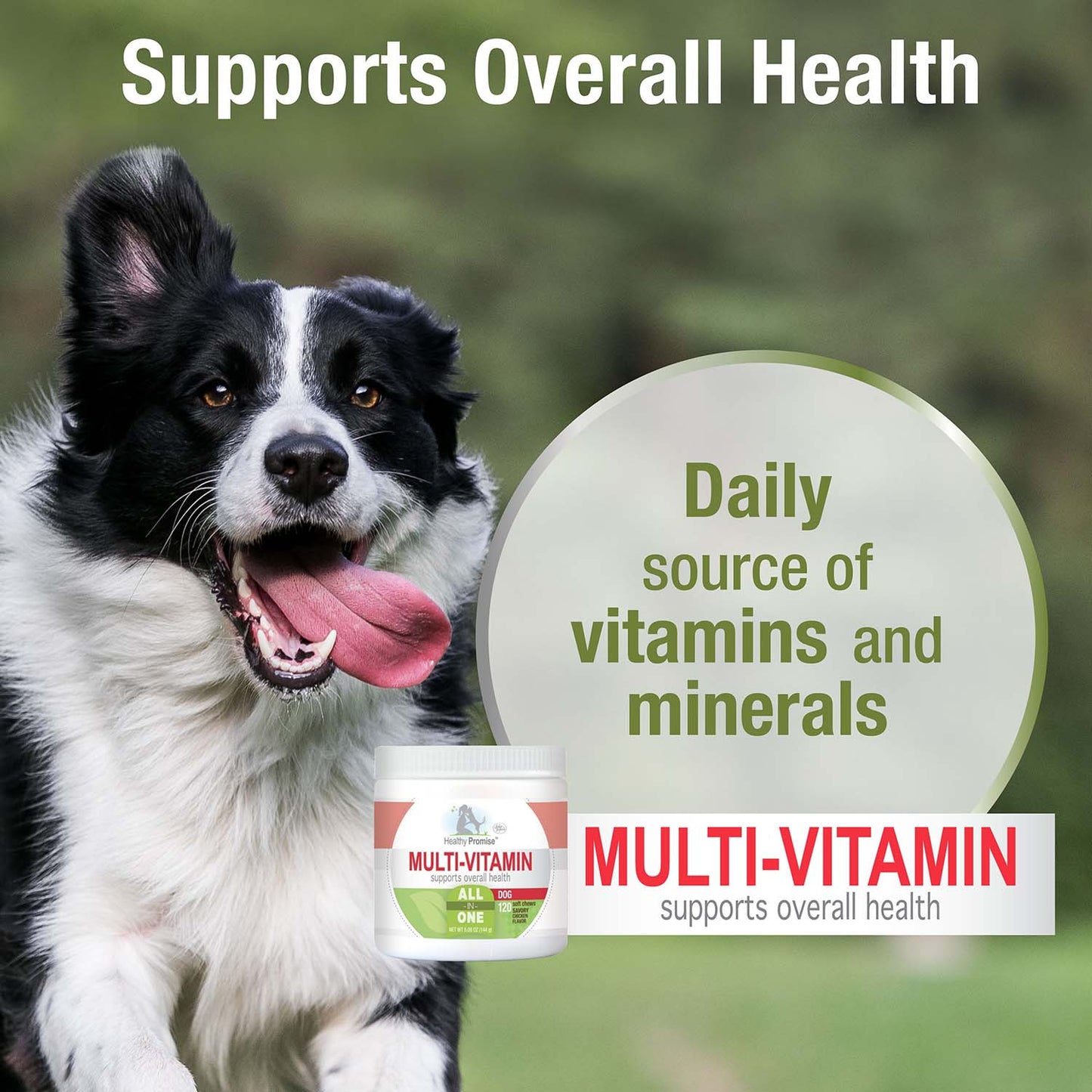 healthy promise dog multivitamin soft chews, savory chicken (120 count)