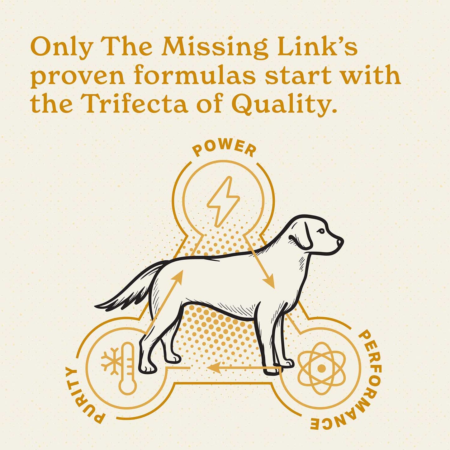 the missing link 1# - dog