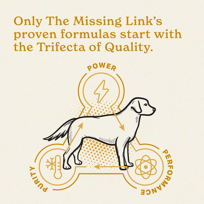 The Missing Link 5# - dog