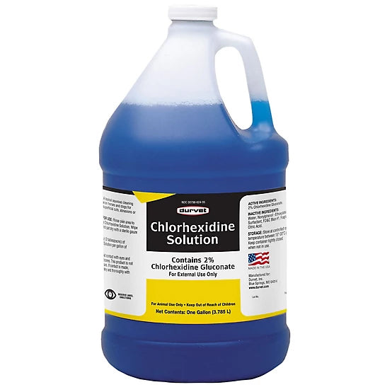 chlorhexidine solution 2%, gallon