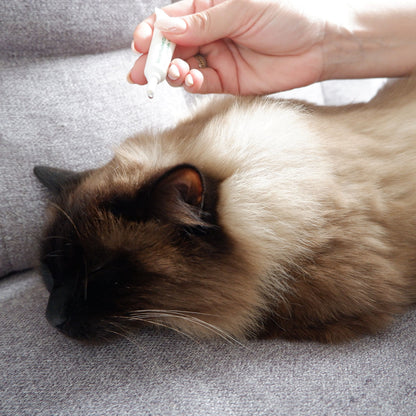 Plant Based Flea & Tick Squeeze-On Cat