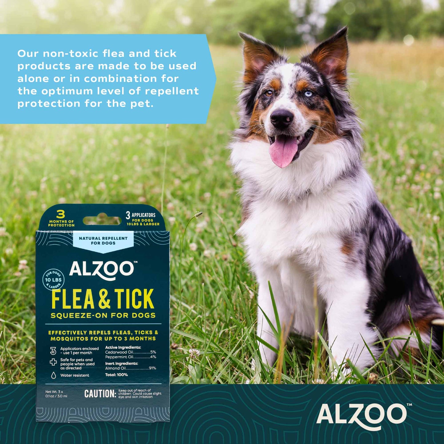 plant-based flea & tick squeeze-on dog