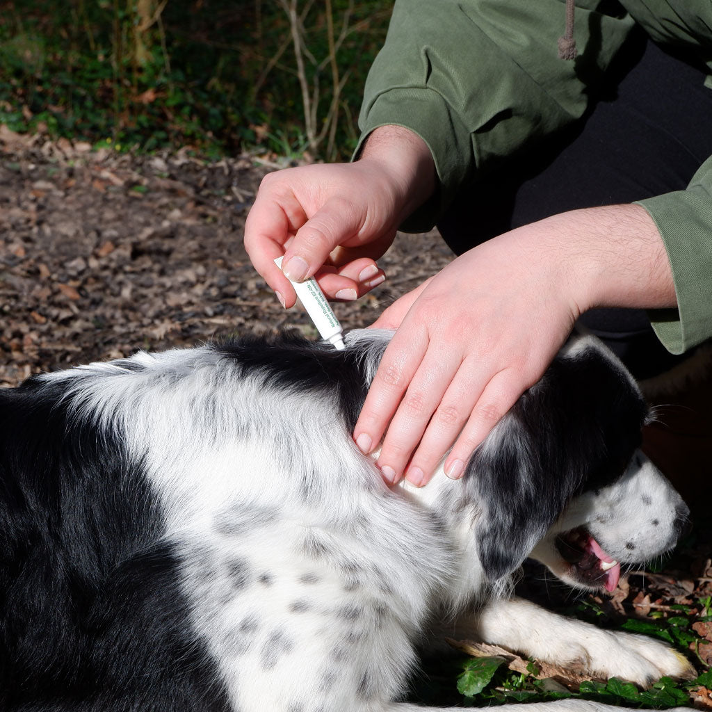 plant-based flea & tick squeeze-on dog