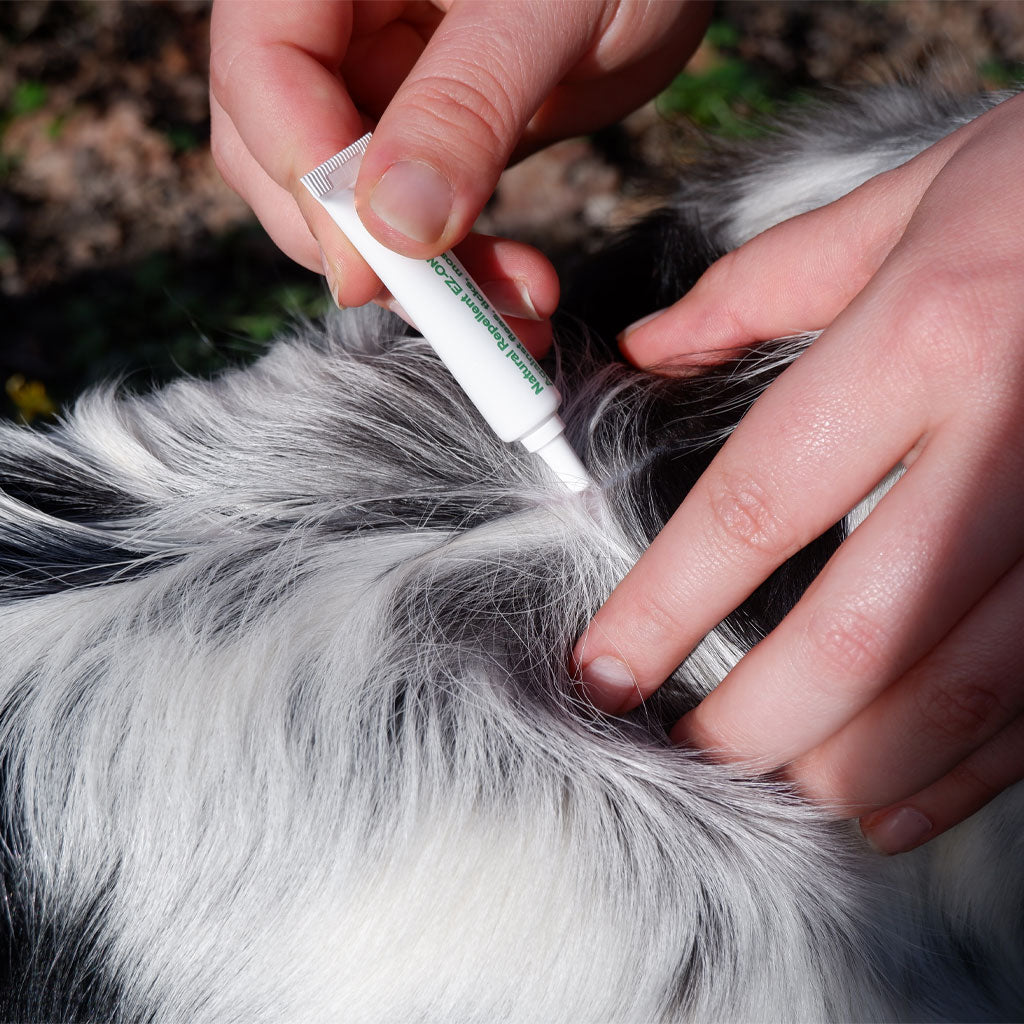 plant-based flea & tick squeeze-on dog