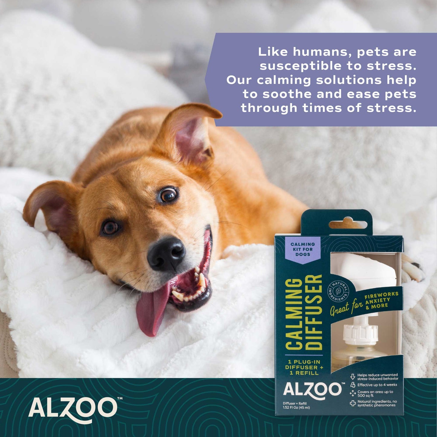 plant-based calming diffuser kit dog