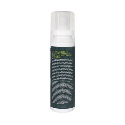 Plant-Based Calming Spray Dog