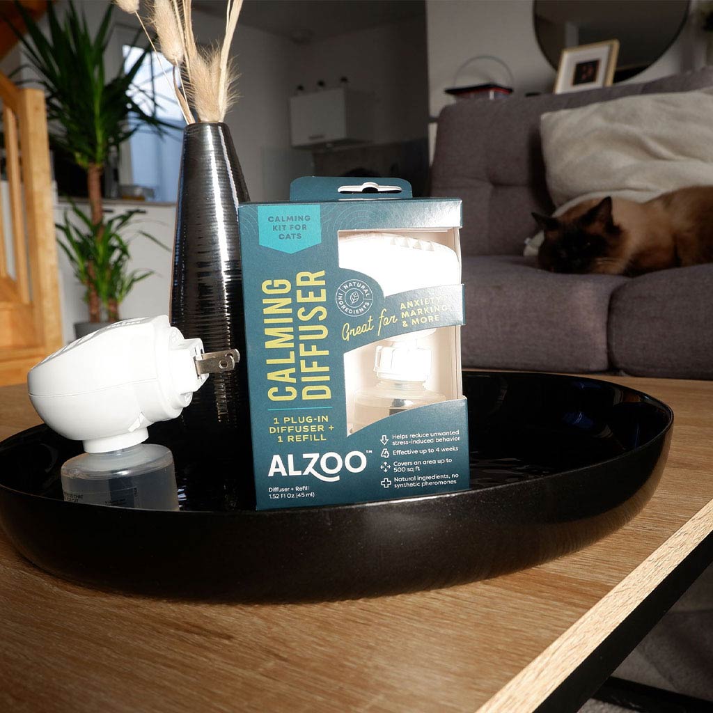 plant-based calming diffuser kit cat