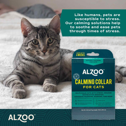 Plant-Based Calming Collar Cat