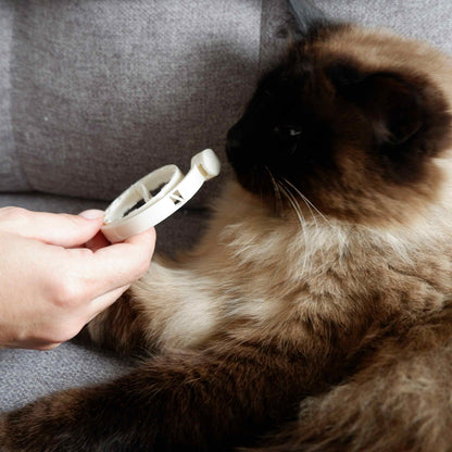 Plant-Based Calming Collar Cat