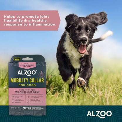 Plant-Based Mobility Collar for Dogs