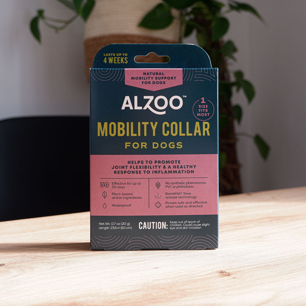 plant-based mobility collar for dogs