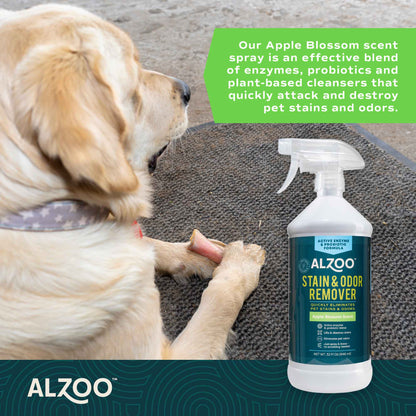 Stain & Odor Remover Apple Blossom Spray, 32oz