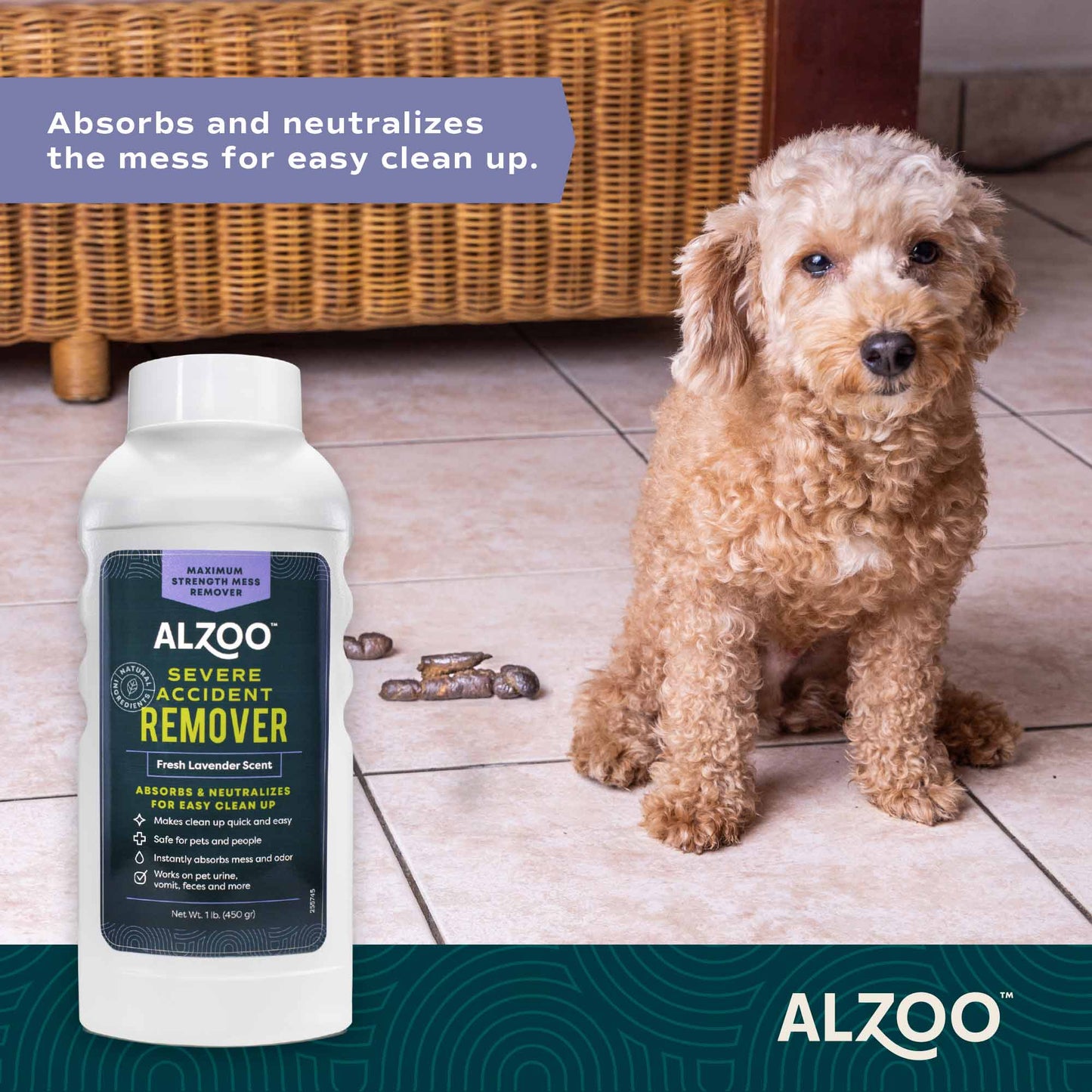 mineral-based severe accident remover & absorbent deodorizer lavender, 15.2oz