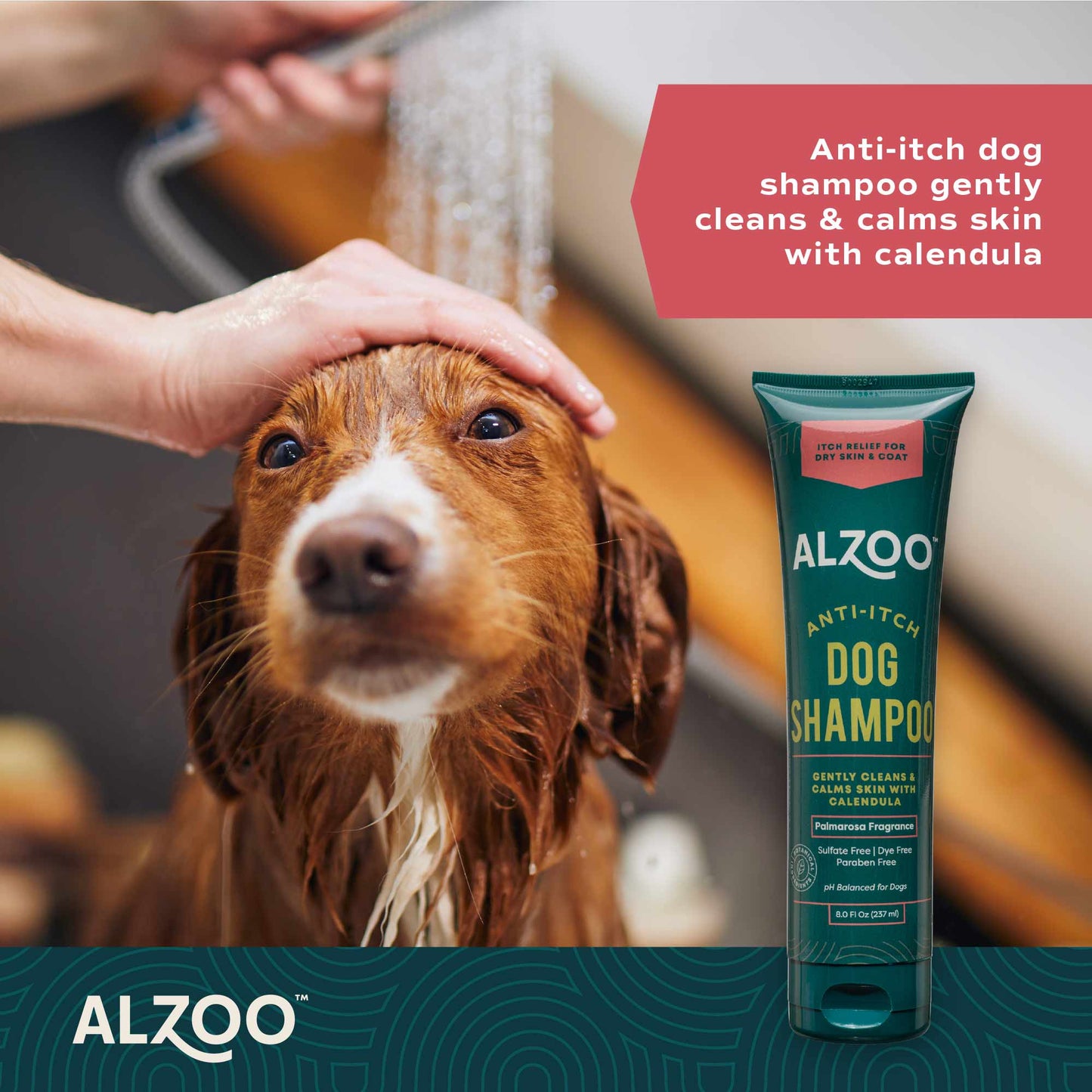 plant-based shampoo anti-itching, 8oz