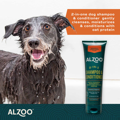 Plant-Based Shampoo & Conditioner 2-in-1, 8oz