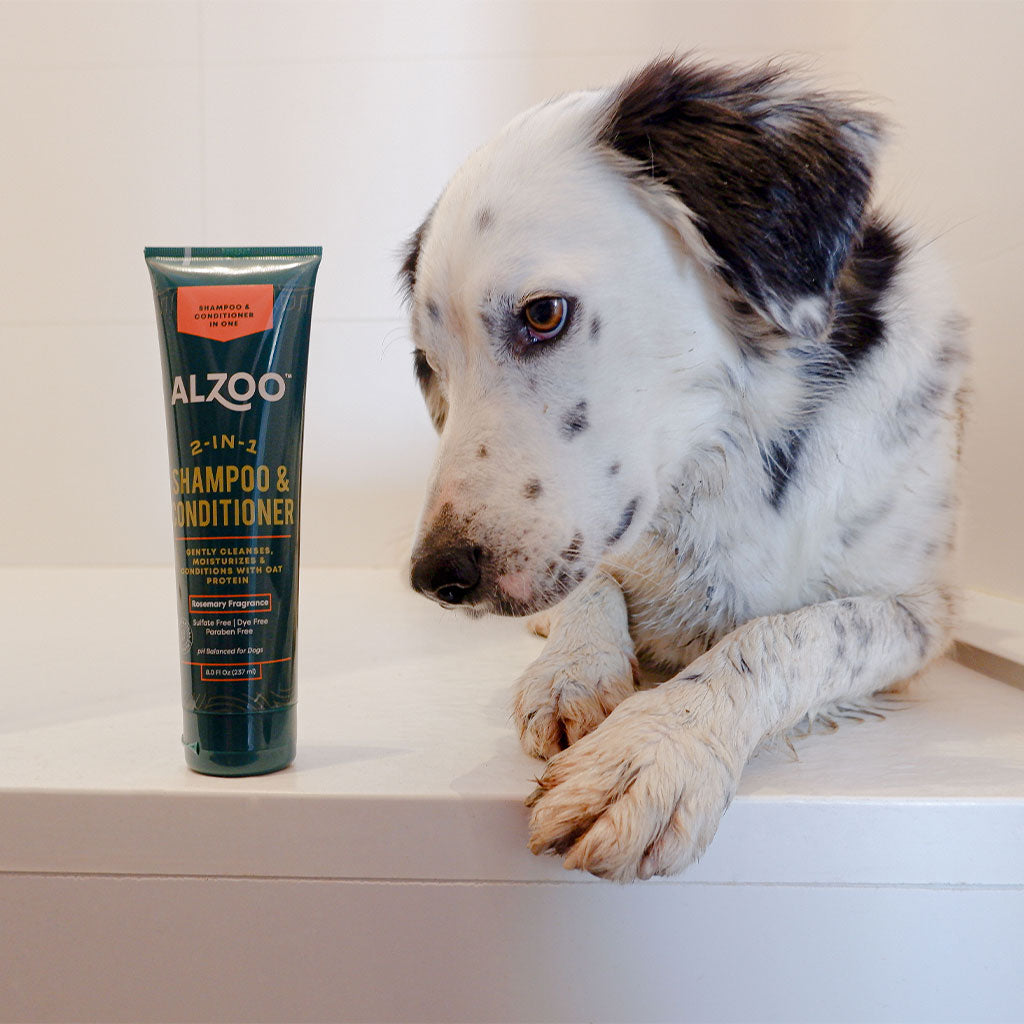 plant-based shampoo & conditioner 2-in-1, 8oz